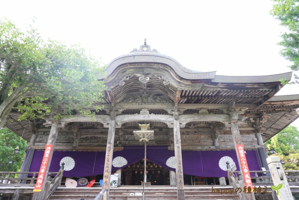 成相寺　本堂