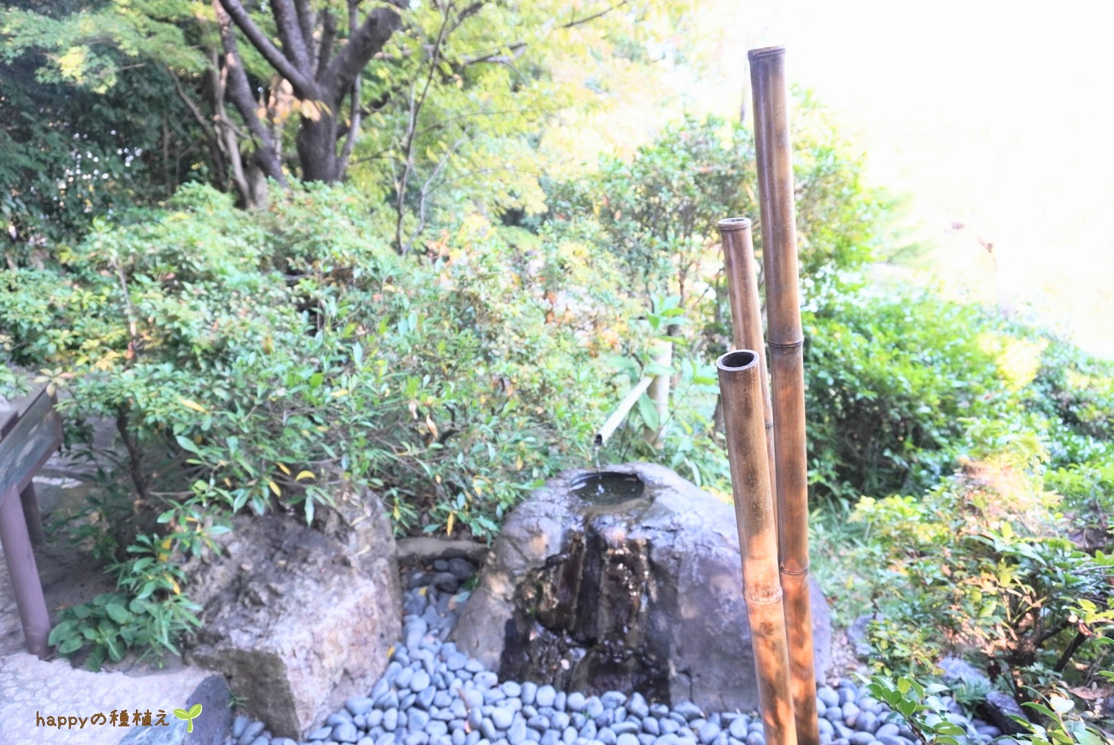 水琴窟　白鳥庭園　手水