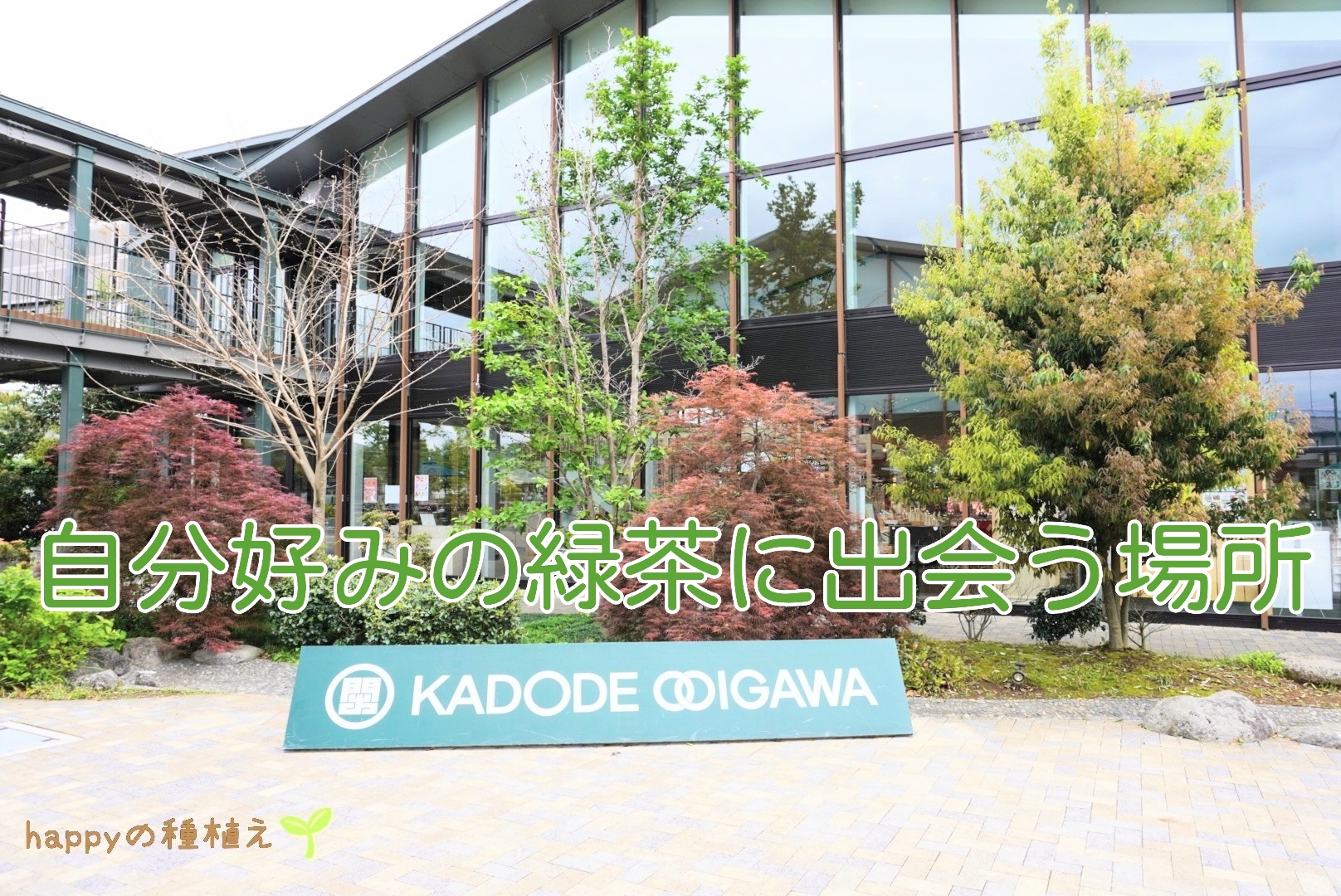 KADODE　OOIGAWA　アイキャッチ