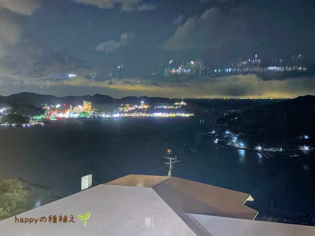 SAYAの風 ラウンジからの夜景