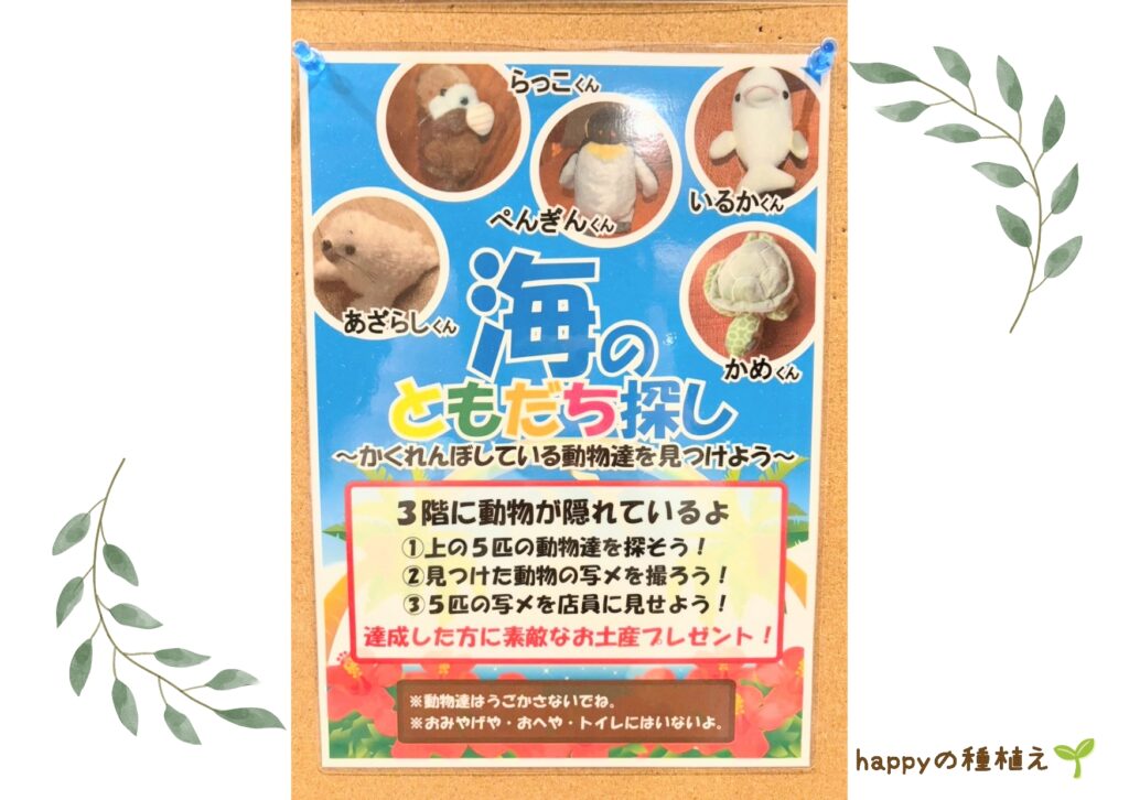 SAYAの風 「海のともだちさがし」