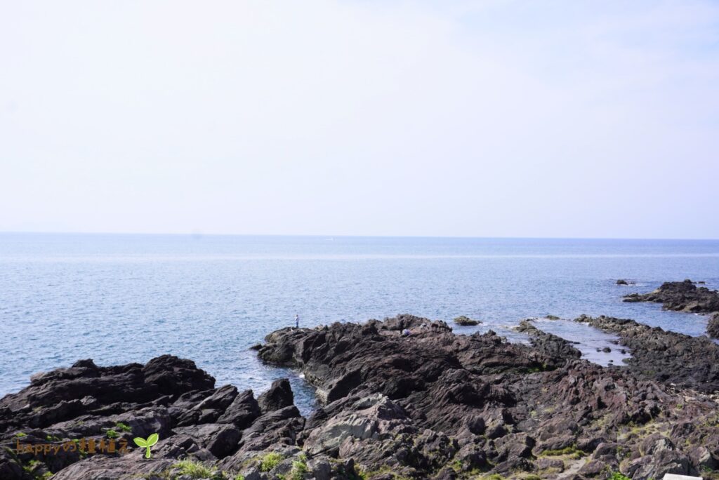 長崎鼻