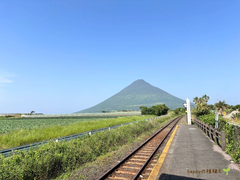 JR最南端駅 西大山駅