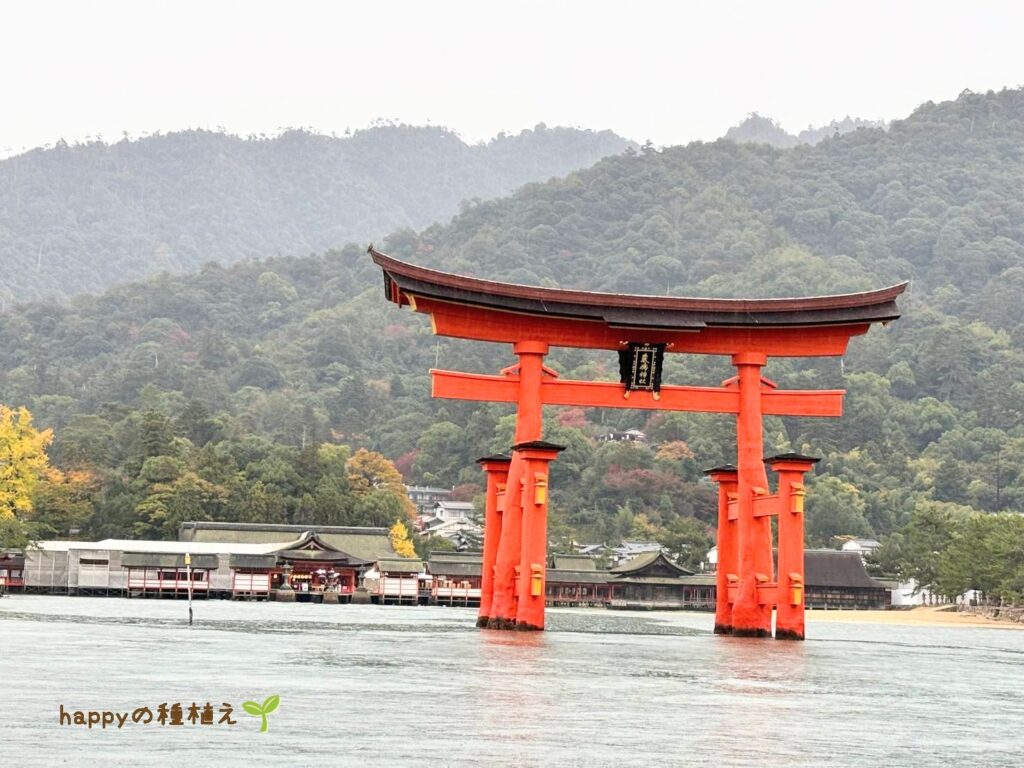 ホテル周辺アクティビティ　朝拝海上散歩　厳島神社