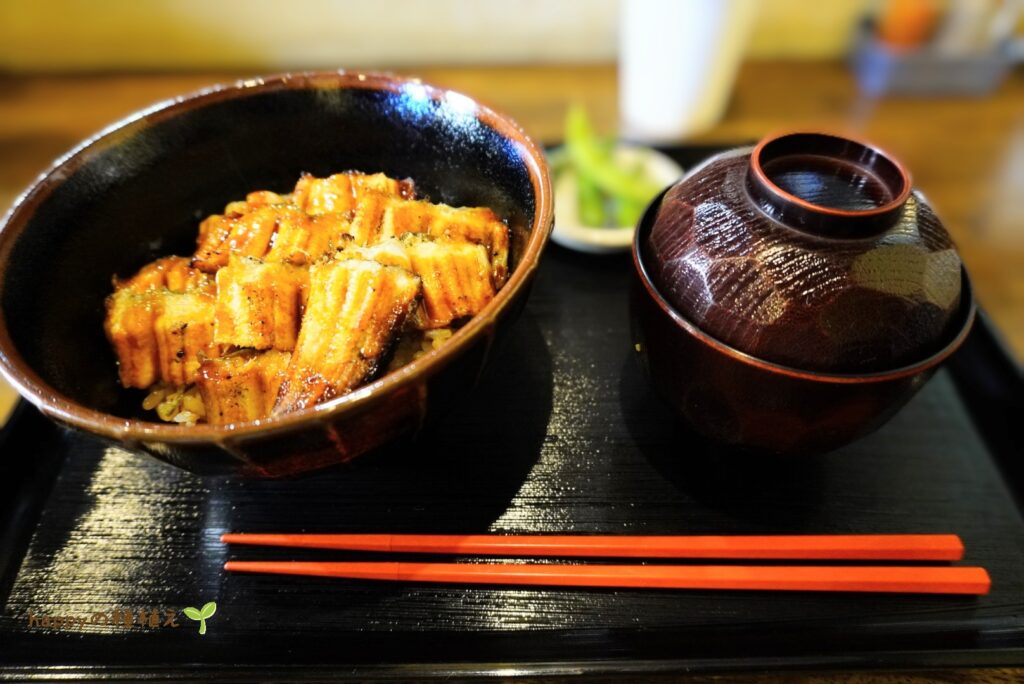 宮島　穴子丼