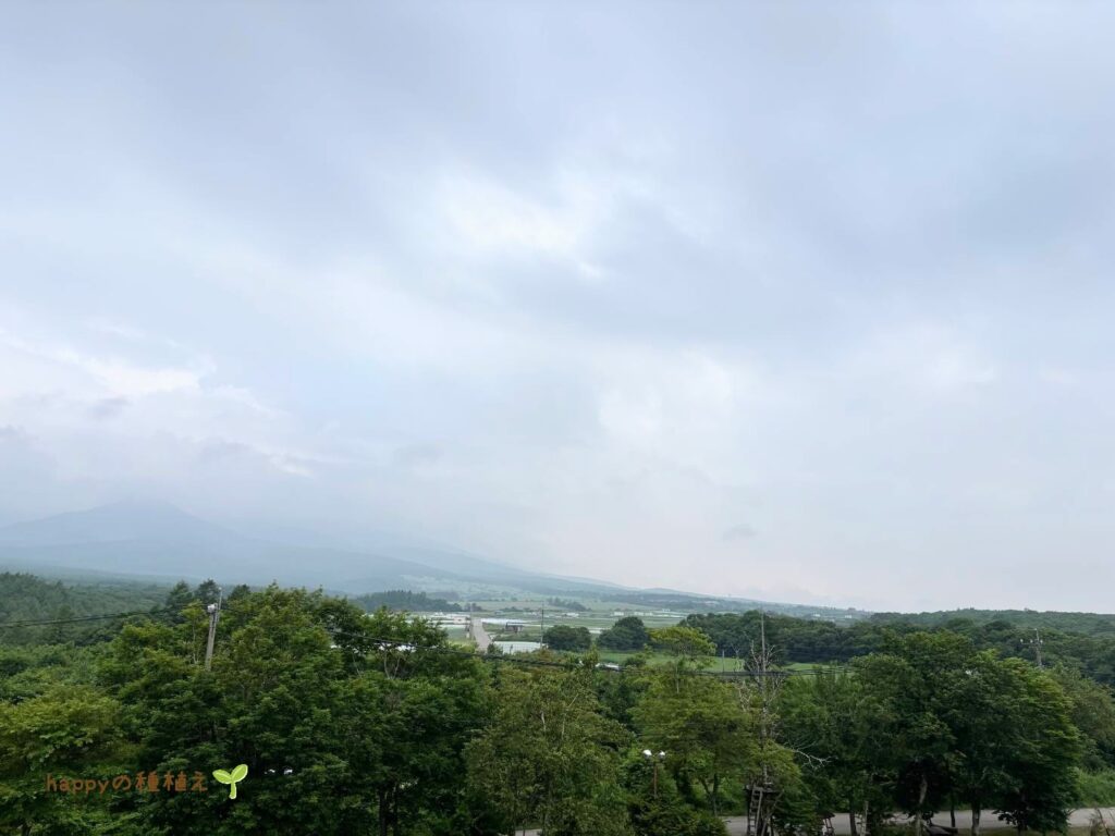 八ヶ岳グレイスホテル 客室からの景色