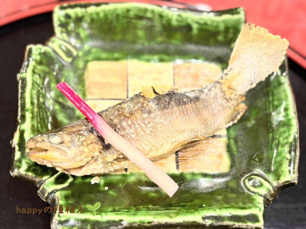 八ヶ岳グレイスホテル 夕食 鶺鴒会席 焼き物 岩魚の塩焼き