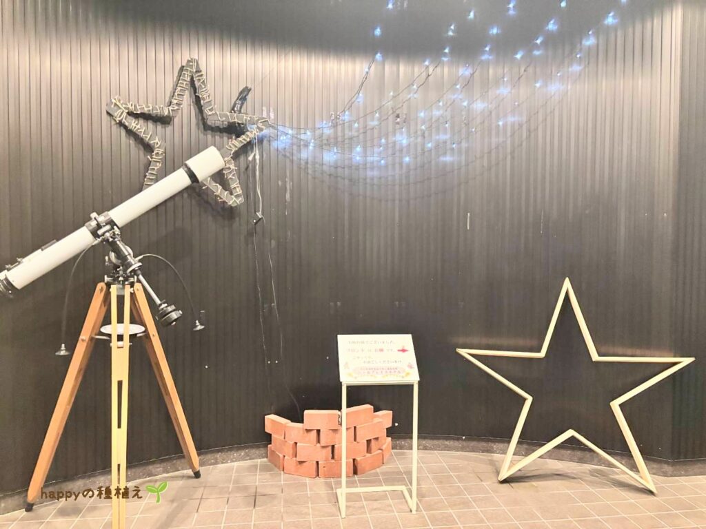 八ヶ岳グレイスホテル 星を感じるロビー1