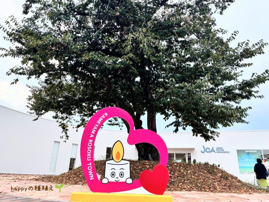 カメヤマローソクタウン　フォトスポット１