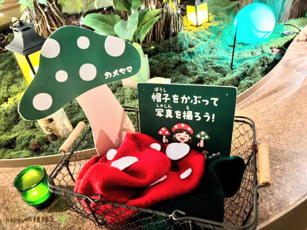 カメヤマローソクタウン　灯りミュージアム　フォトスポット1