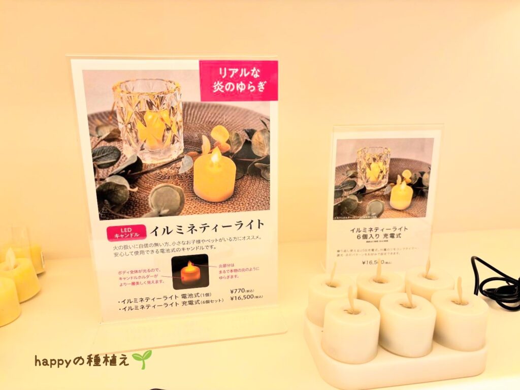 カメヤマローソクタウン　ショップ　ライト