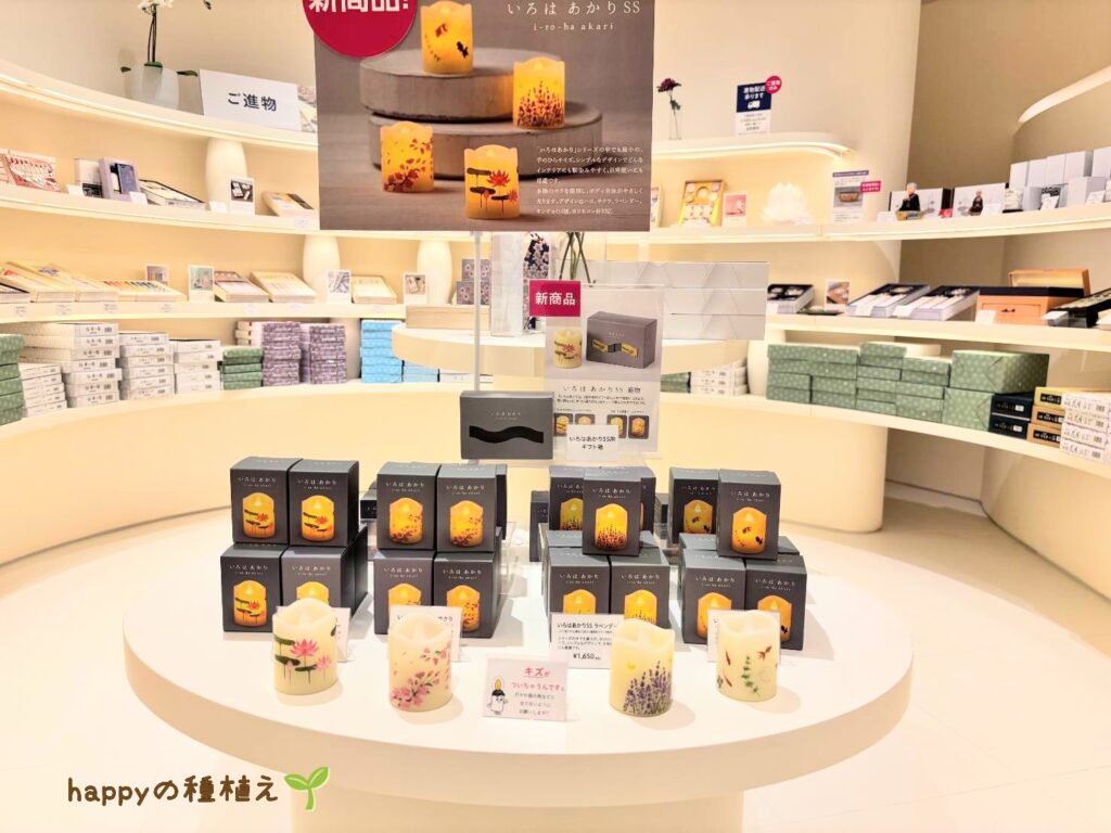 カメヤマローソクタウン　ショップ　ライト