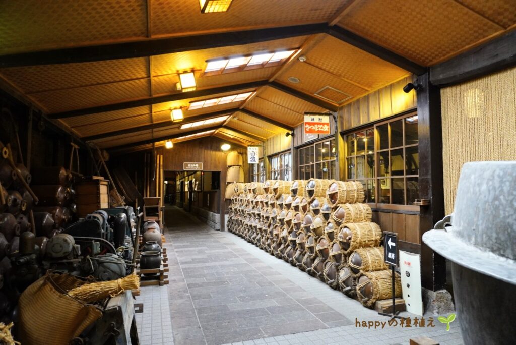 薩摩酒造　明治蔵　見学