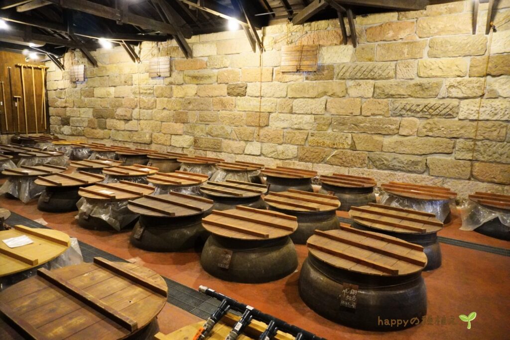 薩摩酒造　明治蔵　見学2