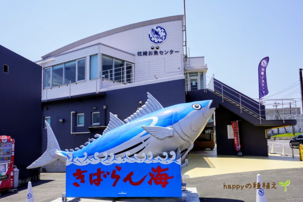 枕崎お魚センター