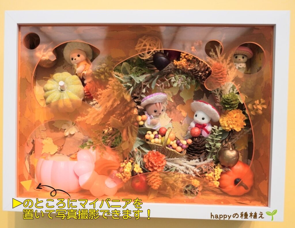 シルバニアファミリー展40th名古屋　マイバニアフォトスポット　赤ちゃん四季めぐり　マイバニア置くところは▷印