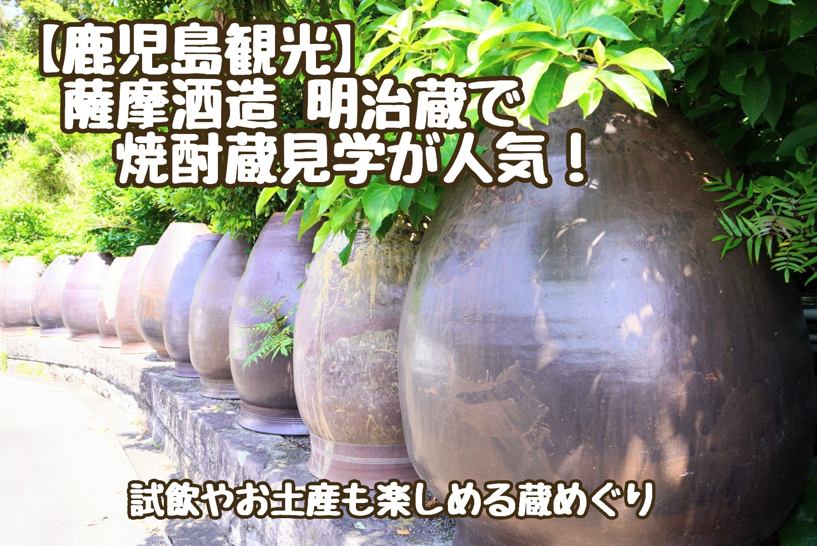 薩摩酒造　明治蔵