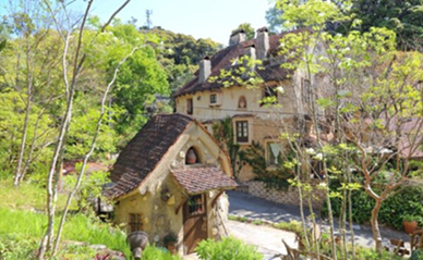 龍雲寺 ぬくもりの森