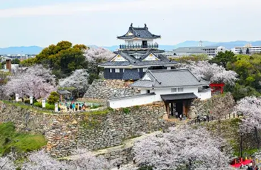 龍雲寺 浜松城公園